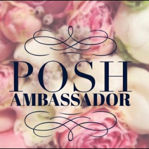 Vintage Gingham Owls Nobody’s Perfect Craft Kit - Picture 5 of 8